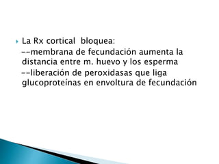  La Rx cortical bloquea:
--membrana de fecundación aumenta la
distancia entre m. huevo y los esperma
--liberación de peroxidasas que liga
glucoproteínas en envoltura de fecundación
 