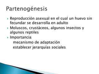  Reproducción asexual en el cual un huevo sin
fecundar se desarrolla en adulto
 Moluscos, crustáceos, algunos insectos y
algunos reptiles
 Importancia
mecanismo de adaptación
establecer jerarquías sociales
 
