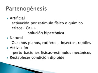  Artificial
activación por estímulo físico o químico
erizos- Ca++
solución hipertónica
 Natural
Gusanos planos, rotíferos, insectos, reptiles
 Activación
perturbaciones físicas-estímulos mecánicos
 Restablecer condición diploide
 
