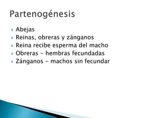  Abejas
 Reinas, obreras y zánganos
 Reina recibe esperma del macho
 Obreras - hembras fecundadas
 Zánganos - machos sin fecundar
 