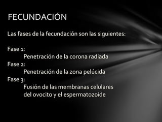 Las fases de la fecundación son las siguientes:
Fase 1:
Penetración de la corona radiada
Fase 2:
Penetración de la zona pelúcida
Fase 3:
Fusión de las membranas celulares
del ovocito y el espermatozoide
FECUNDACIÓN
 