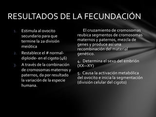 RESULTADOS DE LA FECUNDACIÓN
1. Estimula al ovocito
secundario para que
termine la 2a división
meiótica
2. Restablece el # normal-
diploide- en el cigoto (46)
3. A través de la combinación
de cromosomas maternos y
paternos, da por resultado
la variación de la especie
humana.
El cruzamiento de cromosomas
reubica segmentos de cromosomas
maternos y paternos, mezcla de
genes y produce así una
recombinación del material
genético.
4. Determina el sexo del embrión
(XX—XY)
5. Causa la activación metabólica
del ovocito e inicia la segmentación
(división celular del cigoto)
 
