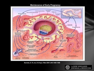 Norwitz, E. R. et al. N Engl J Med 2001;345:1400-1408
Maintenance of Early Pregnancy
 