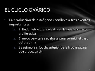 • La producción de estrógenos conlleva a tres eventos
importantes:
1. El Endometrio uterino entra en la fase folicular o
proliferativa
2. El moco cervical se adelgaza para permitir el paso
del esperma
3. Se estimula el lóbulo anterior de la hipófisis para
que produzca LH
EL CLICLO OVÁRICO
 