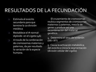 RESULTADOS DE LA FECUNDACIÓN
 1.   Estimula al ovocito              El cruzamiento de cromosomas
      secundario para que           reubica segmentos de cromosomas
      termine la 2a división        maternos y paternos, mezcla de
      meiótica                      genes y produce así una
                                    recombinación del material
 2.   Restablece el # normal-       genético.
      diploide- en el cigoto (46)
                                    4. Determina el sexo del embrión
 3.   A través de la combinación    (XX—XY)
      de cromosomas maternos y
      paternos, da por resultado    5. Causa la activación metabólica
                                    del ovocito e inicia la segmentación
      la variación de la especie    (división celular del cigoto)
      humana.
 