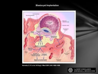 Blastocyst Implantation




Norwitz, E. R. et al. N Engl J Med 2001;345:1400-1408
 