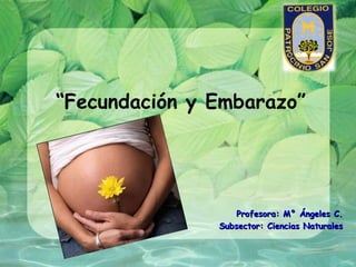 “Fecundación y Embarazo”




                   Profesora: M° Ángeles C.
               Subsector: Ciencias Naturales
 