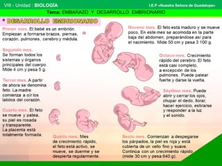 VIII - Unidad : BIOLOGÍA 
I.E.P «Nuestra Señora de Guadalupe» 
Tema: EMBARAZO Y DESARROLLO EMBRIONARIO 
 