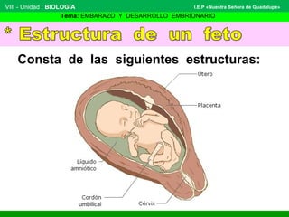 VIII - Unidad : BIOLOGÍA 
I.E.P «Nuestra Señora de Guadalupe» 
Tema: EMBARAZO Y DESARROLLO EMBRIONARIO 
Consta de las siguientes estructuras: 

