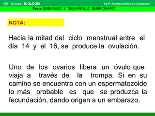 VIII - Unidad : BIOLOGÍA 
I.E.P «Nuestra Señora de Guadalupe» 
Tema: EMBARAZO Y DESARROLLO EMBRIONARIO 
NOTA: 
Hacia la mitad del ciclo menstrual entre el 
día 14 y el 16, se produce la ovulación. 
Uno de los ovarios libera un óvulo que 
viaja a través de la trompa. Si en su 
camino se encuentra con un espermatozoide 
lo más probable es que se produzca la 
fecundación, dando origen a un embarazo. 
 