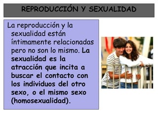 REPRODUCCIÓN Y SEXUALIDAD

La reproducción y la
 sexualidad están
 íntimamente relacionadas
 pero no son lo mismo. La
 sexualidad es la
 atracción que incita a
 buscar el contacto con
 los individuos del otro
 sexo, o el mismo sexo
 (homosexualidad).
 