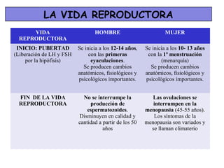 LA VIDA REPRODUCTORA
     VIDA                        HOMBRE                         MUJER
 REPRODUCTORA
 INICIO: PUBERTAD         Se inicia a los 12-14 años,   Se inicia a los 10- 13 años
(Liberación de LH y FSH        con las primeras          con la 1º menstruación
     por la hipófisis)          eyaculaciones.                 (menarquía)
                            Se producen cambios           Se producen cambios
                          anatómicos, fisiológicos y    anatómicos, fisiológicos y
                          psicológicos importantes.     psicológicos importantes.


 FIN DE LA VIDA             No se interrumpe la            Las ovulaciones se
 REPRODUCTORA                  producción de               interrumpen en la
                              espermatozoides.          menopausia (45-55 años).
                          Disminuyen en calidad y          Los síntomas de la
                          cantidad a partir de los 50   menopausia son variados y
                                     años                 se llaman climaterio
 