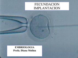 FECUNDACION IMPLANTACION EMBRIOLOGIA Profa. Diana Molina 