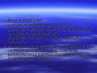  PH-30 Y FERTILINA
 LA FUSION MEMBRANAL OVOCITO-
  ESPERMATOZOIDE PERMITE LA ENTRADA DE
  UN NUCLEO HAPLOIDE DEL
  ESPERMATOZOIDE AL CITOPLASMA DEL
  OVOCITO.
 POSIBILITA LA ENTRADA DEL CENTRIOLO Y
  LA PIEZA INTERMEDIA QUE CONTIENE
  MITOCONDRIAS ESPIRALIZADAS Y ´PORCION
  TERMINAL DEL FLAGELO.
 