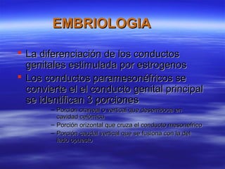 EMBRIOLOGIA

 La diferenciación de los conductos
  genitales estimulada por estrogenos
 Los conductos paramesonéfricos se
  convierte el el conducto genital principal
  se identifican 3 porciones
       – Porcion craneal o vertical que desemboca en
         cavidad celómica
       – Porción orizontal que cruza el conducto mesonefrico
       – Porción caudal vertical que se fusiona con la del
         lado opuesto
 