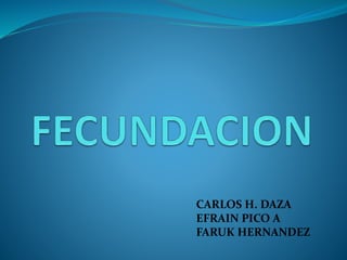 CARLOS H. DAZA 
EFRAIN PICO A 
FARUK HERNANDEZ 
 