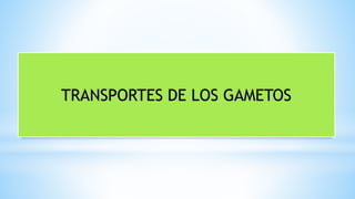 TRANSPORTES DE LOS GAMETOS 
 