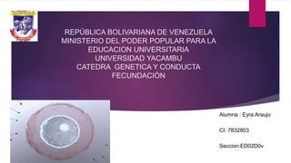 REPÚBLICA BOLIVARIANA DE VENEZUELA
MINISTERIO DEL PODER POPULAR PARA LA
EDUCACION UNIVERSITARIA
UNIVERSIDAD YACAMBU
CATEDRA GENETICA Y CONDUCTA
FECUNDACIÓN
Alumna : Eyra Araujo
CI: 7832803
Seccion:ED02D0v
 