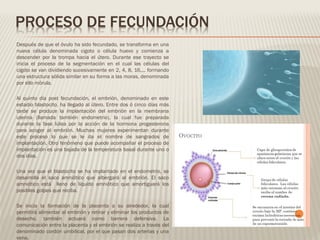 PROCESO DE FECUNDACIÓN
Después de que el óvulo ha sido fecundado, se transforma en una
nueva célula denominada cigoto o célula huevo y comienza a
descender por la trompa hacia el útero. Durante ese trayecto se
inicia el proceso de la segmentación en el cual las células del
cigoto se van dividiendo sucesivamente en 2, 4, 8, 16,... formando
una estructura sólida similar en su forma a las moras, denominada
por ello mórula.
Al quinto día post fecundación, el embrión, denominado en este
estadio blastocito, ha llegado al útero. Entre dos ó cinco días más
tarde se produce la implantación del embrión en la membrana
uterina (llamada también endometrio), la cual fue preparada
durante la fase lútea por la acción de la hormona progesterona
para acoger al embrión. Muchas mujeres experimentan durante
este proceso lo que se le da el nombre de sangrados de
implantación. Otro fenómeno que puede acompañar el proceso de
implantación es una bajada de la temperatura basal durante uno o
dos días.
Una vez que el blastocito se ha implantado en el endometrio, se
desarrolla el saco amniótico que albergará al embrión. El saco
amniótico está lleno de líquido amniótico que amortiguará los
posibles golpes que reciba.
Se inicia la formación de la placenta a su alrededor, la cual
permitirá alimentar al embrión y retirar y eliminar los productos de
desecho, también actuará como barrera defensiva. La
comunicación entre la placenta y el embrión se realiza a través del
denominado cordón umbilical, por el que pasan dos arterias y una
vena.
 