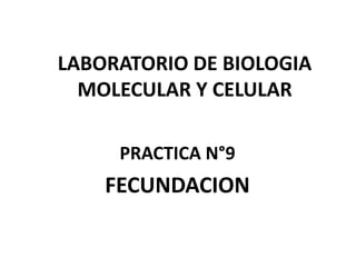 LABORATORIO DE BIOLOGIA
MOLECULAR Y CELULAR
PRACTICA N°9
FECUNDACION
 