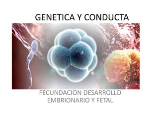 GENETICA Y CONDUCTA
FECUNDACION DESARROLLO
EMBRIONARIO Y FETAL
 