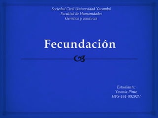 Sociedad Civil Universidad Yacambú
Facultad de Humanidades
Genética y conducta
Estudiante:
Yesenia Pinto
HPS-161-00292V
 
