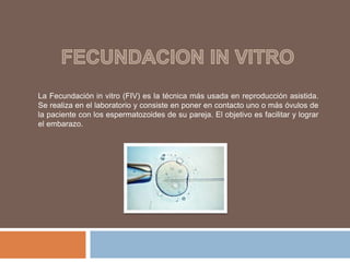 La Fecundación in vitro (FIV) es la técnica más usada en reproducción asistida.
Se realiza en el laboratorio y consiste en poner en contacto uno o más óvulos de
la paciente con los espermatozoides de su pareja. El objetivo es facilitar y lograr
el embarazo.
 