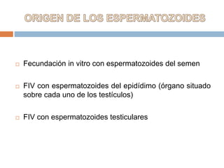  Fecundación in vitro con espermatozoides del semen
 FIV con espermatozoides del epidídimo (órgano situado
sobre cada uno de los testículos)
 FIV con espermatozoides testiculares
 