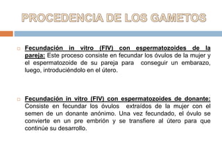 Fecundación in vitro (FIV) con espermatozoides de la
pareja: Este proceso consiste en fecundar los óvulos de la mujer y
el espermatozoide de su pareja para conseguir un embarazo,
luego, introduciéndolo en el útero.
 Fecundación in vitro (FIV) con espermatozoides de donante:
Consiste en fecundar los óvulos extraídos de la mujer con el
semen de un donante anónimo. Una vez fecundado, el óvulo se
convierte en un pre embrión y se transfiere al útero para que
continúe su desarrollo.
 