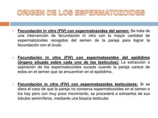  Fecundación in vitro (FIV) con espermatozoides del semen: Se trata de
una intervención de fecundación in vitro con la mayor cantidad de
espermatozoides recogidos del semen de la pareja para lograr la
fecundación con el óvulo.
 Fecundación in vitro (FIV) con espermatozoides del epidídimo
(órgano situado sobre cada uno de los testículos): La extracción o
aspiración de los espermatozoides sucede cuando la pareja carece de
estos en el semen que se encuentran en el epidídimo.
 Fecundación in vitro (FIV) con espermatozoides testiculares: Si se
diera el caso de que la pareja no conserva espermatozoides en el semen o
los hay pero con muy poco movimiento, se procederá a extraerlos de sus
túbulos seminíferos, mediante una biopsia testicular.
 