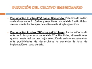  Fecundación in vitro (FIV) con cultivo corto: Este tipo de cultivo
suele durar entre 2 o 3 días y se obtienen un total de 6 a 8 células,
siendo uno de los tiempos de cultivos más simples y rápidos.
 Fecundación in vitro (FIV) con cultivo largo: La duración es de
más de 5 días y alcanza un total de 12 a 16 células, el beneficio es
que se puede realizar una mejor selección de embriones para tener
más posibilidades de desarrollarse o aumentar la tasa de
implantación en caso de falla.
 
