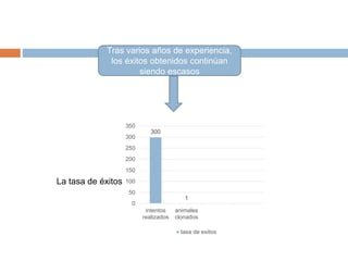 Tras varios años de experiencia,
los éxitos obtenidos continúan
siendo escasos
La tasa de éxitos
300
1
0
50
100
150
200
250
300
350
intentos
realizados
animales
clonados
tasa de exitos
 