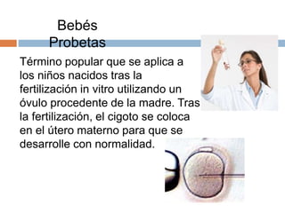 Término popular que se aplica a
los niños nacidos tras la
fertilización in vitro utilizando un
óvulo procedente de la madre. Tras
la fertilización, el cigoto se coloca
en el útero materno para que se
desarrolle con normalidad.
Bebés
Probetas
 
