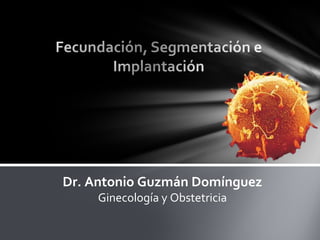 Dr. Antonio Guzmán Domínguez
Ginecología y Obstetricia
 