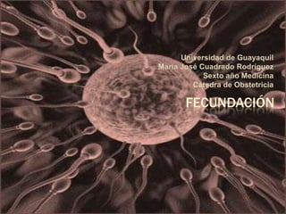 Universidad de Guayaquil
María José Cuadrado Rodríguez
Sexto año Medicina
Cátedra de Obstetricia

FECUNDACIÓN

 