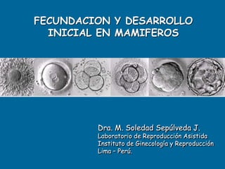 FECUNDACION Y DESARROLLO
INICIAL EN MAMIFEROS
Dra. M. Soledad Sepúlveda J.
Laboratorio de Reproducción Asistida
Instituto de Ginecología y Reproducción
Lima – Perú.
 