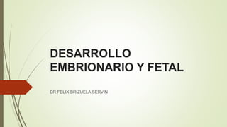DESARROLLO
EMBRIONARIO Y FETAL
DR FELIX BRIZUELA SERVIN
 