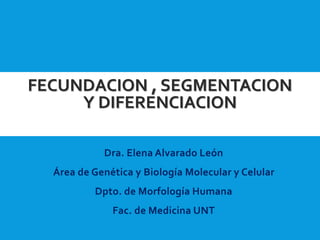 FECUNDACION , SEGMENTACION
Y DIFERENCIACION
Dra. Elena Alvarado León
Área de Genética y Biología Molecular y Celular
Dpto. de Morfología Humana
Fac. de Medicina UNT
 