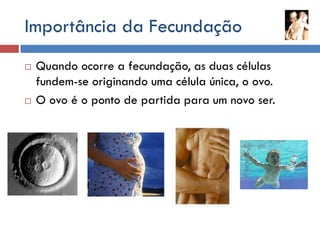 FecundaçãO