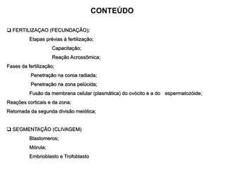 CONTEÚDO

 FERTILIZAÇAO (FECUNDAÇÃO);
          Etapas prévias à fertilização;
                    Capacitação;
                    Reação Acrossômica;
Fases da fertilização;
           Penetração na coroa radiada;
           Penetração na zona pelúcida;
          Fusão da membrana celular (plasmática) do ovócito e a do espermatozóide;
Reações corticais e da zona;
Retomada da segunda divisão meiótica;


 SEGMENTAÇÃO (CLIVAGEM)
          Blastomeros;
          Mórula;
          Embrioblasto e Trofoblasto
 