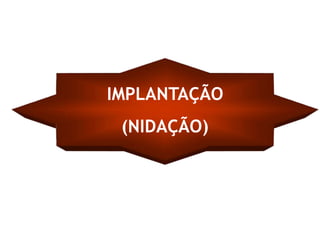 IMPLANTAÇÃO
 (NIDAÇÃO)
 