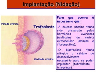 Implantação (Nidação)

                                        Para que ocorra          é
                                        necessário que:
Parede uterina
                    Trofoblasto         -A mucosa uterina tenha
                                        sido    preparada     pelos
                                        hormônios         ovarianos
                                        (moléculas     da    matriz
                                        extracelular laminina e
                                        fibronectina);
                                        -O     blastocisto  tenha
                                        atingido o estágio de
                                        desenvolvimento
                     Cavidade uterina
                                        necessário para se poder
                                        implantar (tofroblasto –
                                        integrinas).
 