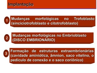 Implantação


1 Mudanças morfológicas no Trofoblasto
  (sinciciotrofoblasto e citotrofoblasto)


     Mudanças morfológicas no Embrioblasto
2    (DISCO EMBRIONÁRIO)

  Formação de estruturas extraembrionárias
3 (cavidade aminiótica, âmnion, saco vitelino, o
  pedículo de conexão e o saco coriônico)
 