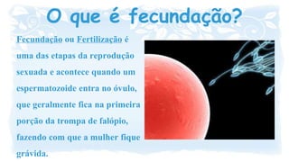 Fecundação ou Fertilização é
uma das etapas da reprodução
sexuada e acontece quando um
espermatozoide entra no óvulo,
que geralmente fica na primeira
porção da trompa de falópio,
fazendo com que a mulher fique
grávida.
O que é fecundação?
 