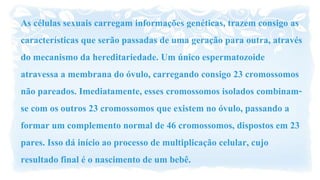 As células sexuais carregam informações genéticas, trazem consigo as
características que serão passadas de uma geração para outra, através
do mecanismo da hereditariedade. Um único espermatozoide
atravessa a membrana do óvulo, carregando consigo 23 cromossomos
não pareados. Imediatamente, esses cromossomos isolados combinam-
se com os outros 23 cromossomos que existem no óvulo, passando a
formar um complemento normal de 46 cromossomos, dispostos em 23
pares. Isso dá início ao processo de multiplicação celular, cujo
resultado final é o nascimento de um bebê.
 