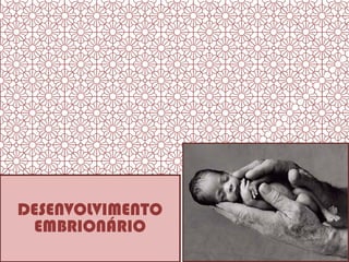 DESENVOLVIMENTO
EMBRIONÁRIO
 