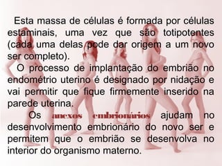 Esta massa de células é formada por células
estaminais, uma vez que são totipotentes
(cada uma delas pode dar origem a um novo
ser completo).
O processo de implantação do embrião no
endométrio uterino é designado por nidação e
vai permitir que fique firmemente inserido na
parede uterina.
Os anexos embrionários ajudam no
desenvolvimento embrionário do novo ser e
permitem que o embrião se desenvolva no
interior do organismo materno.
 
