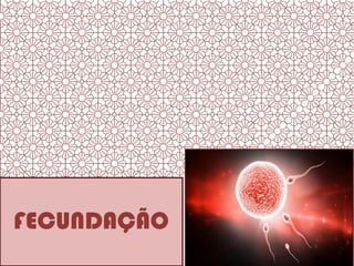FECUNDAÇÃO Inês Lucas
 