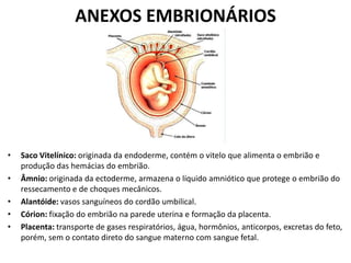 ANEXOS EMBRIONÁRIOS

•

•
•
•
•

Saco Vitelínico: originada da endoderme, contém o vitelo que alimenta o embrião e
produção das hemácias do embrião.
Âmnio: originada da ectoderme, armazena o líquido amniótico que protege o embrião do
ressecamento e de choques mecânicos.
Alantóide: vasos sanguíneos do cordão umbilical.
Córion: fixação do embrião na parede uterina e formação da placenta.
Placenta: transporte de gases respiratórios, água, hormônios, anticorpos, excretas do feto,
porém, sem o contato direto do sangue materno com sangue fetal.

 