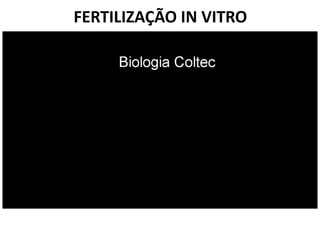FERTILIZAÇÃO IN VITRO

 